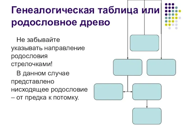 Генеалогическая таблица или родословное древо Не забывайте указывать направление родословия стрелочками!