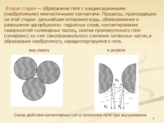 Вторая стадия — образование геля с конденсационными (необратимыми) межчастичными контактами. Процессы,