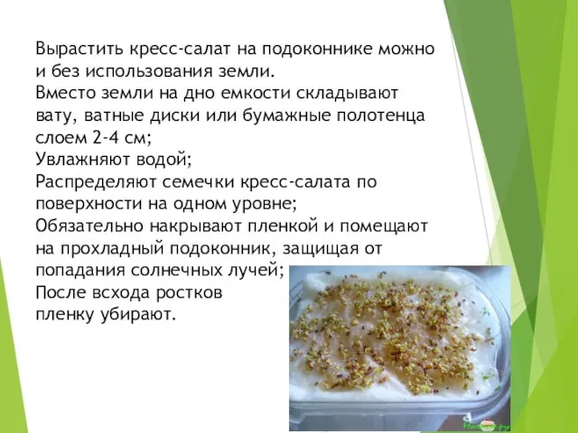 Вырастить кресс-салат на подоконнике можно и без использования земли. Вместо земли