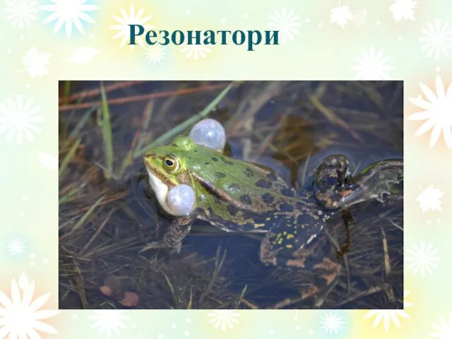 Резонатори