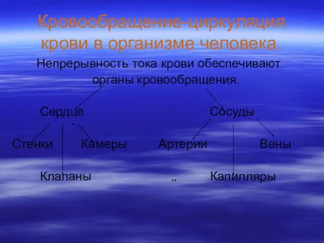 Кровообращение-циркуляция крови в организме человека. Непрерывность тока крови обеспечивают органы кровообращения.