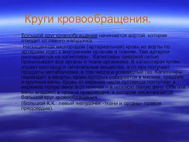 Круги кровообращения. Большой круг кровообращения начинается аортой, которая отходит от левого