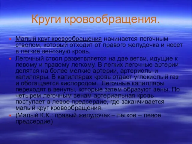 Круги кровообращения. Малый круг кровообращения начинается легочным стволом, который отходит от