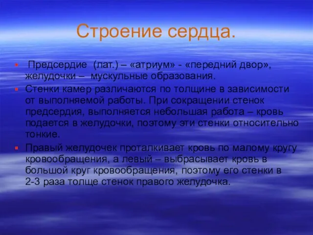 Строение сердца. Предсердие (лат.) – «атриум» - «передний двор», желудочки –