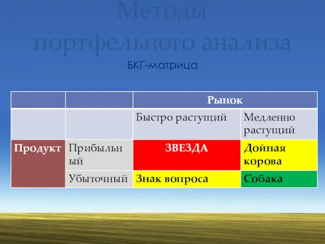 Методы портфельного анализа БКГ-матрица