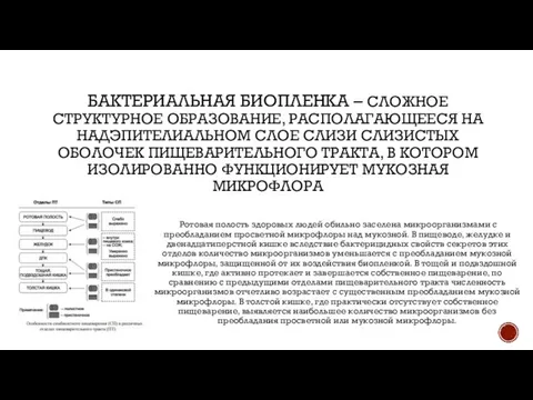 БАКТЕРИАЛЬНАЯ БИОПЛЕНКА – СЛОЖНОЕ СТРУКТУРНОЕ ОБРАЗОВАНИЕ, РАСПОЛАГАЮЩЕЕСЯ НА НАДЭПИТЕЛИАЛЬНОМ СЛОЕ СЛИЗИ