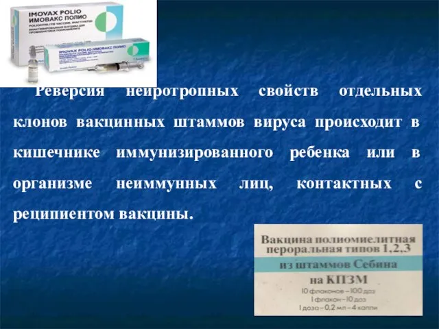 Реверсия нейротропных свойств отдельных клонов вакцинных штаммов вируса происходит в кишечнике