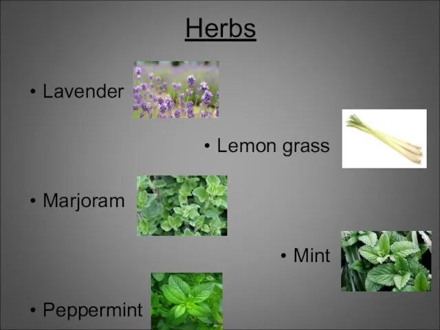Herbs Lavender Lemon grass Marjoram Mint Peppermint