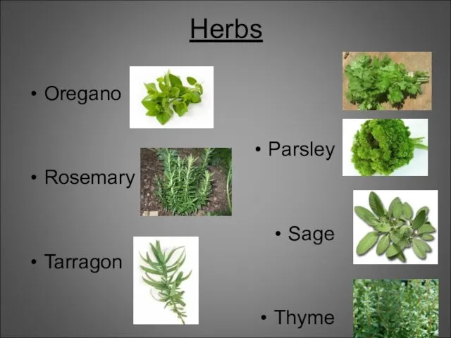 Herbs Oregano Parsley Rosemary Sage Tarragon Thyme