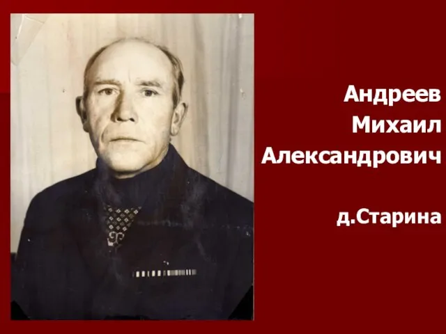 Андреев Михаил Александрович д.Старина