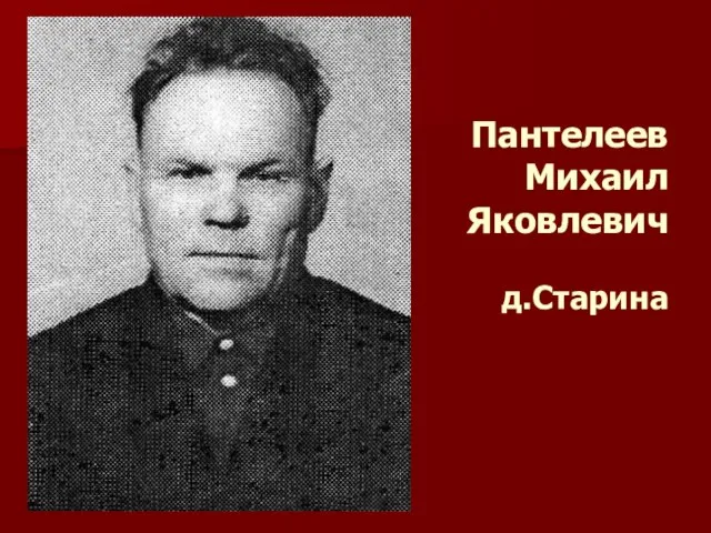 Пантелеев Михаил Яковлевич д.Старина