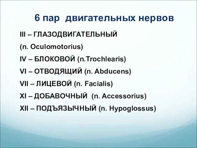 6 пар двигательных нервов III – ГЛАЗОДВИГАТЕЛЬНЫЙ (n. Oculomotorius) IV –