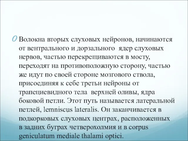 Волокна вторых слуховых нейронов, начинаются от вентрального и дорзального ядер слуховых