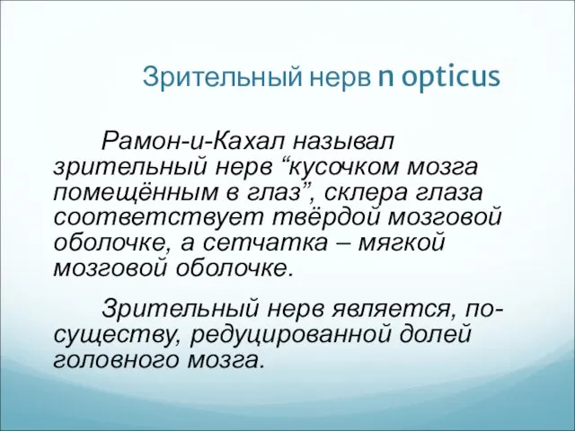 Зрительный нерв n opticus Рамон-и-Кахал называл зрительный нерв “кусочком мозга помещённым