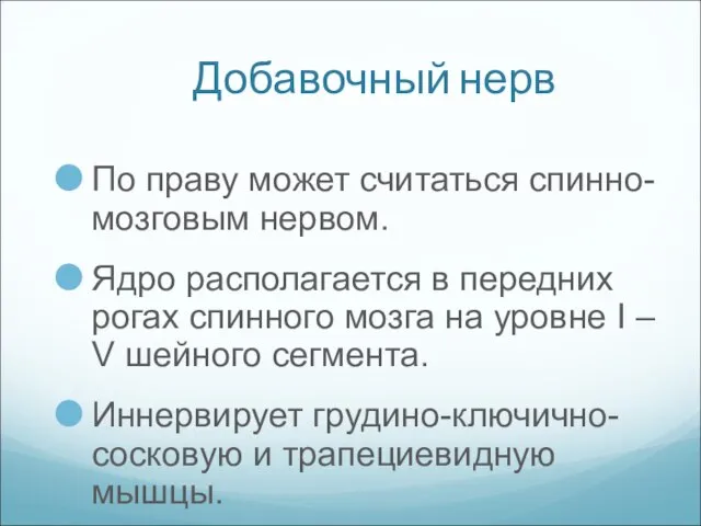 Добавочный нерв По праву может считаться спинно-мозговым нервом. Ядро располагается в