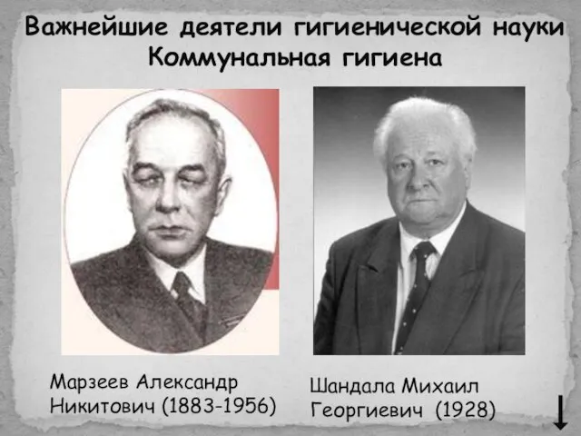 Марзеев Александр Никитович (1883-1956) Важнейшие деятели гигиенической науки Коммунальная гигиена Шандала Михаил Георгиевич (1928)