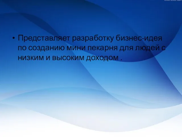 Представляет разработку бизнес-идея по созданию мини пекарня для людей с низким и высоким доходом .