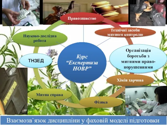 Взаємозв`язок дисципліни у фаховій моделі підготовки ТНЗЕД Організація боротьби з митними право-порушеннями