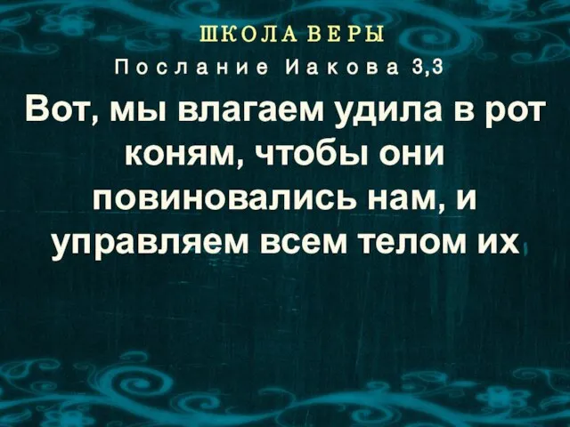 ШКОЛА ВЕРЫ Вот, мы влагаем удила в рот коням, чтобы они