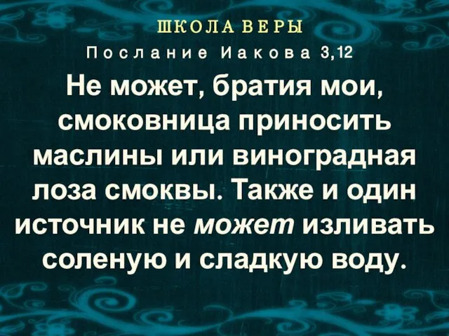 ШКОЛА ВЕРЫ Не может, братия мои, смоковница приносить маслины или виноградная