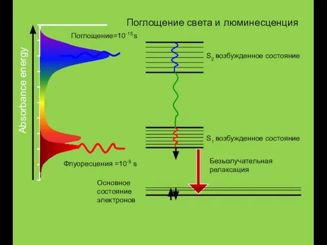 Основное состояние электронов S1 возбужденное состояние S2 возбужденное состояние Absorbance energy
