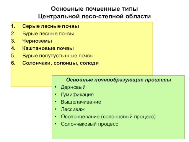 Основные почвенные типы Центральной лесо-степной области Серые лесные почвы Бурые лесные