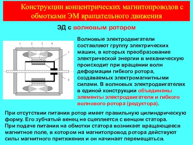 ЭД с волновым ротором Конструкции концентрических магнитопроводов с обмотками ЭМ вращательного