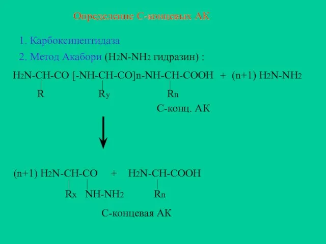 Определение С-концевых АК 1. Карбоксипептидаза 2. Метод Акабори (H2N-NH2 гидразин) :