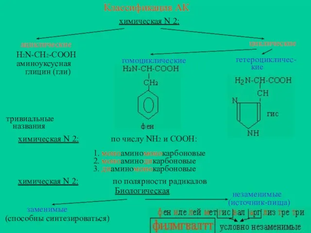 Классификация АК химическая N 2: ациклические H2N-CH2-COOH аминоуксусная глицин (гли) циклические