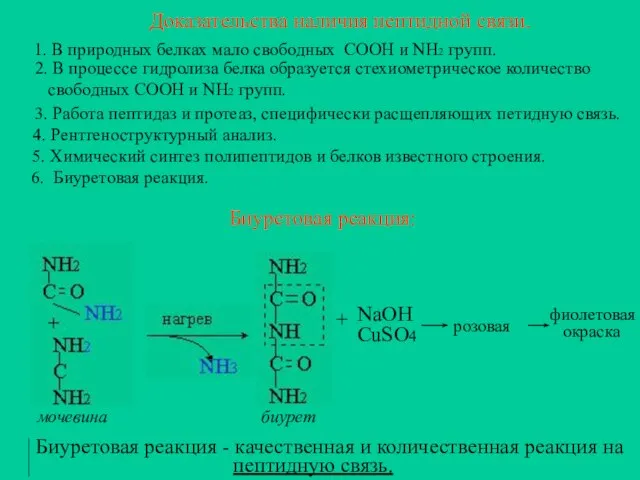 Доказательства наличия пептидной связи. 1. В природных белках мало свободных СООН