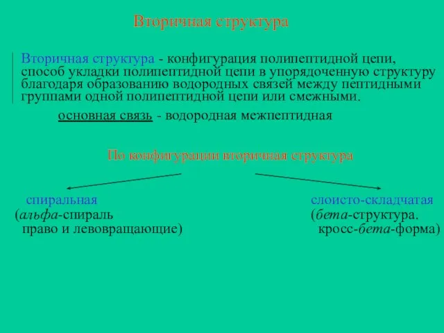 Вторичная структура По конфигурации вторичная структура спиральная (альфа-спираль право и левовращающие)