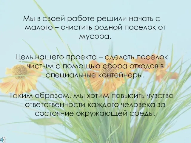 Мы в своей работе решили начать с малого – очистить родной