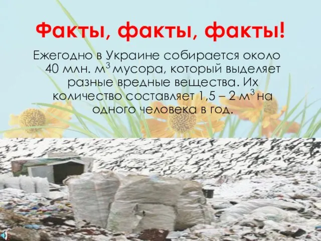 Факты, факты, факты! Ежегодно в Украине собирается около 40 млн. м3