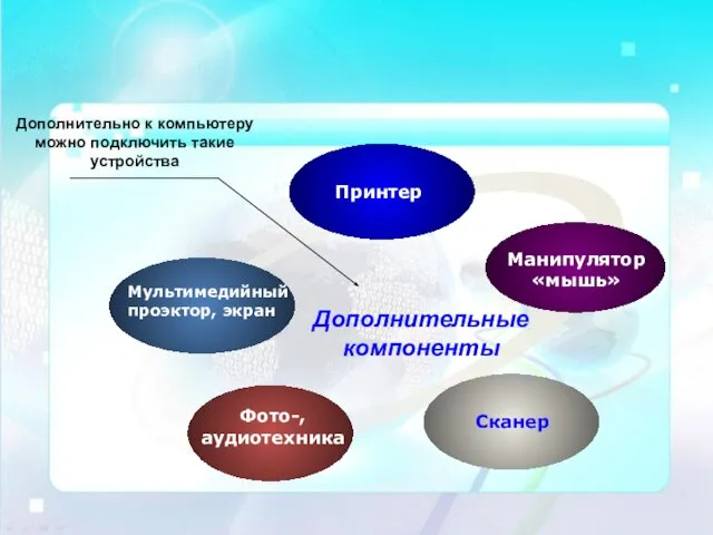 Мультимедийный проэктор, экран Принтер Манипулятор «мышь» Сканер Фото-, аудиотехника Дополнительные компоненты