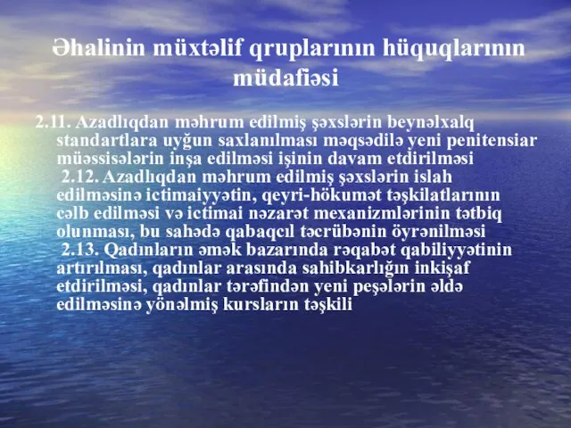 Əhalinin müxtəlif qruplarının hüquqlarının müdafiəsi 2.11. Azadlıqdan məhrum edilmiş şəxslərin beynəlxalq