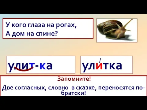 У кого глаза на рогах, А дом на спине? улитка /