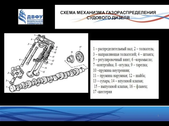 СХЕМА МЕХАНИЗМА ГАЗОРАСПРЕДЕЛЕНИЯ СУДОВОГО ДИЗЕЛЯ