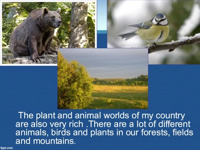 The plant and animal worlds of my country are also very