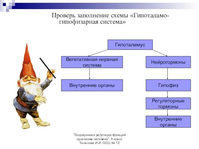 "Эндокринная регуляция функций организма человека" 9 класс Топалова И.И. СОШ №