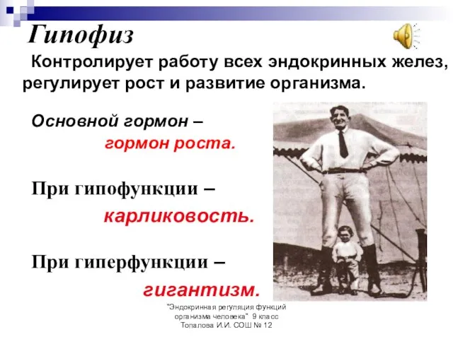 "Эндокринная регуляция функций организма человека" 9 класс Топалова И.И. СОШ №