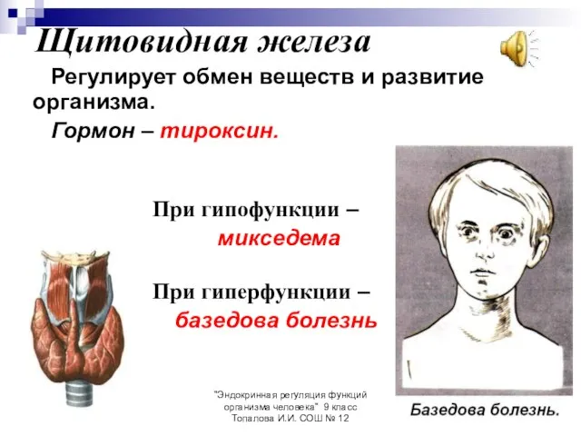 "Эндокринная регуляция функций организма человека" 9 класс Топалова И.И. СОШ №