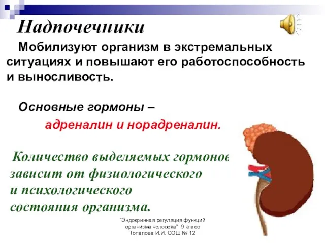 "Эндокринная регуляция функций организма человека" 9 класс Топалова И.И. СОШ №