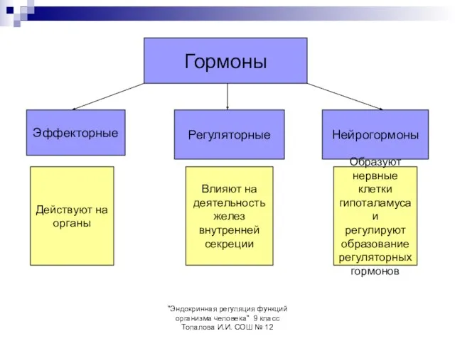 "Эндокринная регуляция функций организма человека" 9 класс Топалова И.И. СОШ №