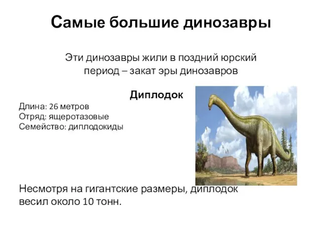 Самые большие динозавры Эти динозавры жили в поздний юрский период –