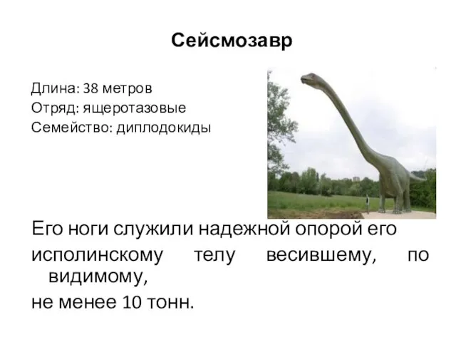 Сейсмозавр Длина: 38 метров Отряд: ящеротазовые Семейство: диплодокиды Его ноги служили