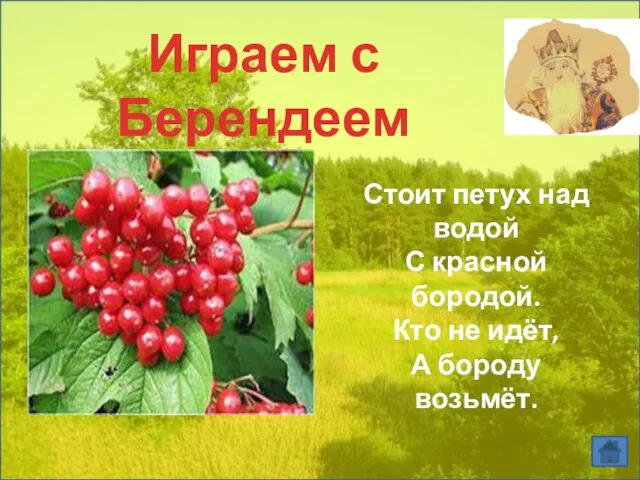 Играем с Берендеем Стоит петух над водой С красной бородой. Кто не идёт, А бороду возьмёт.