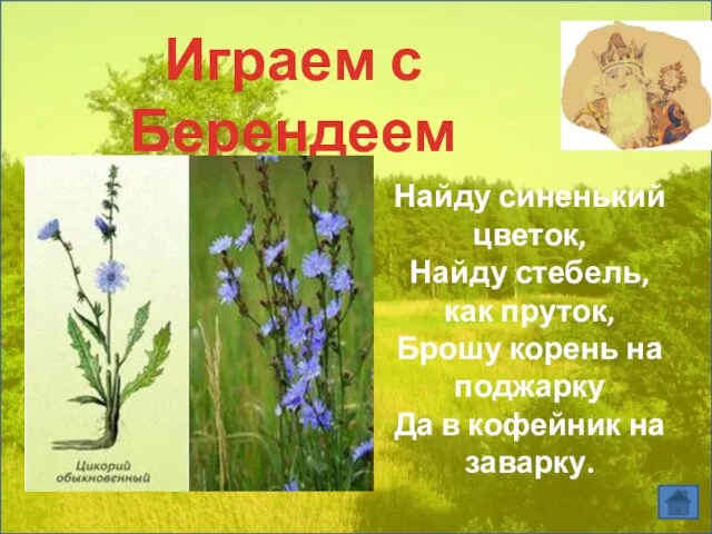 Играем с Берендеем Найду синенький цветок, Найду стебель, как пруток, Брошу