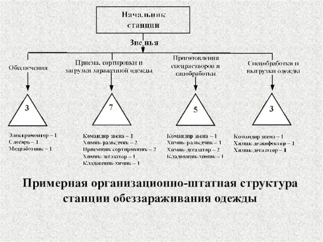 Примерная организационно-штатная структура станции обеззараживания одежды