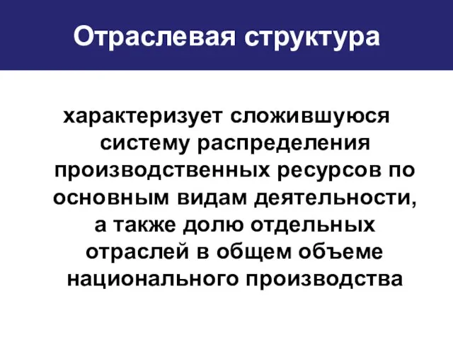 Отраслевая структура характеризует сложившуюся систему распределения производственных ресурсов по основным видам