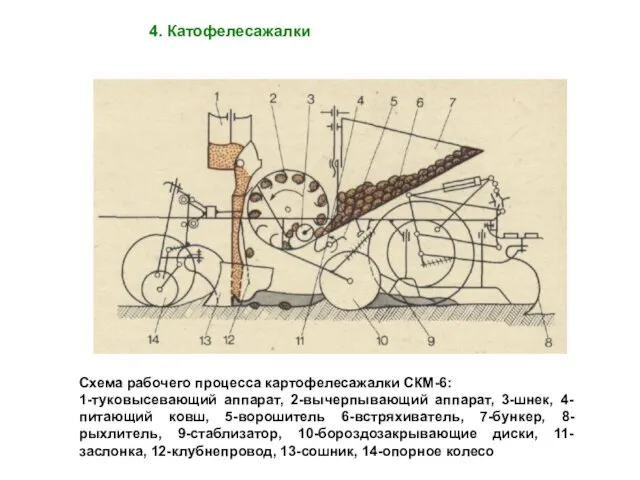 4. Катофелесажалки Схема рабочего процесса картофелесажалки СКМ-6: 1-туковысевающий аппарат, 2-вычерпывающий аппарат,